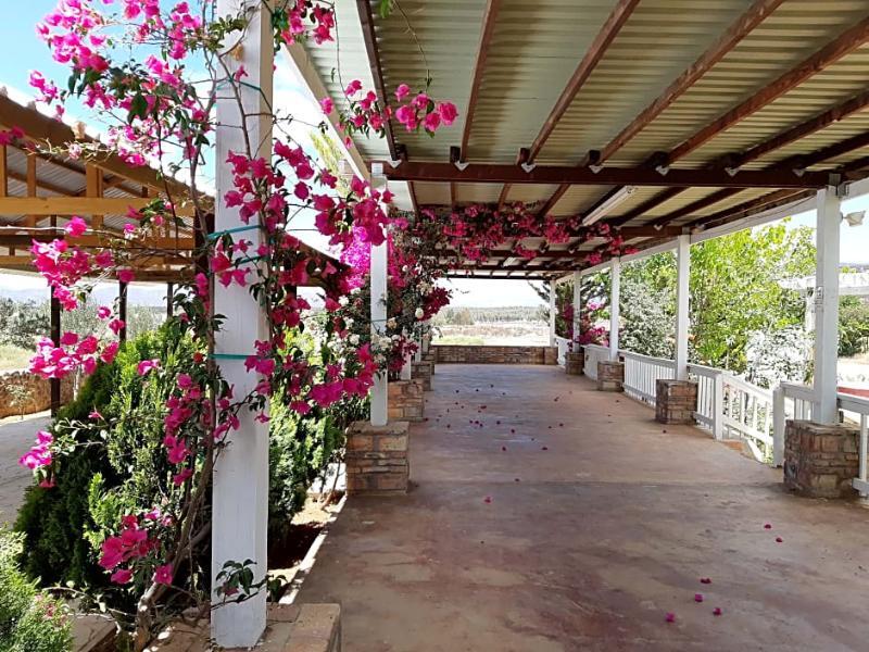 Hotel Meson Del Vino Valle de Guadalupe Exterior foto